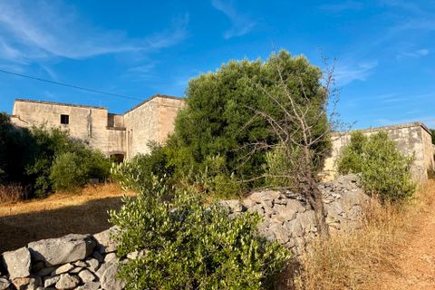 Landejendom i Cisternino, Brindisi, Cisternino - € 1.111.111 | Ref: 381 - foto 49